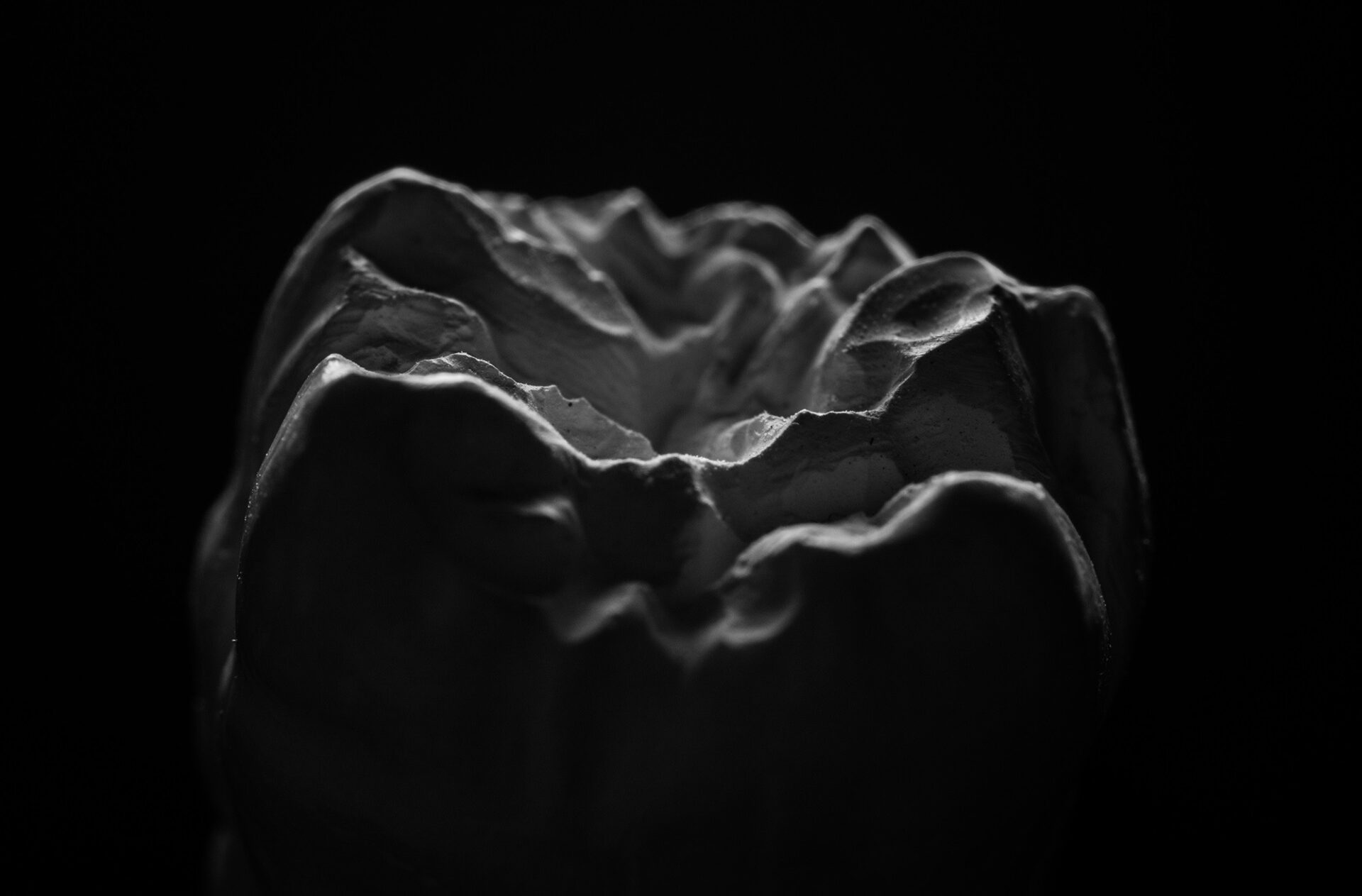 Viktor Scherbakov - Denti-Pro Photography